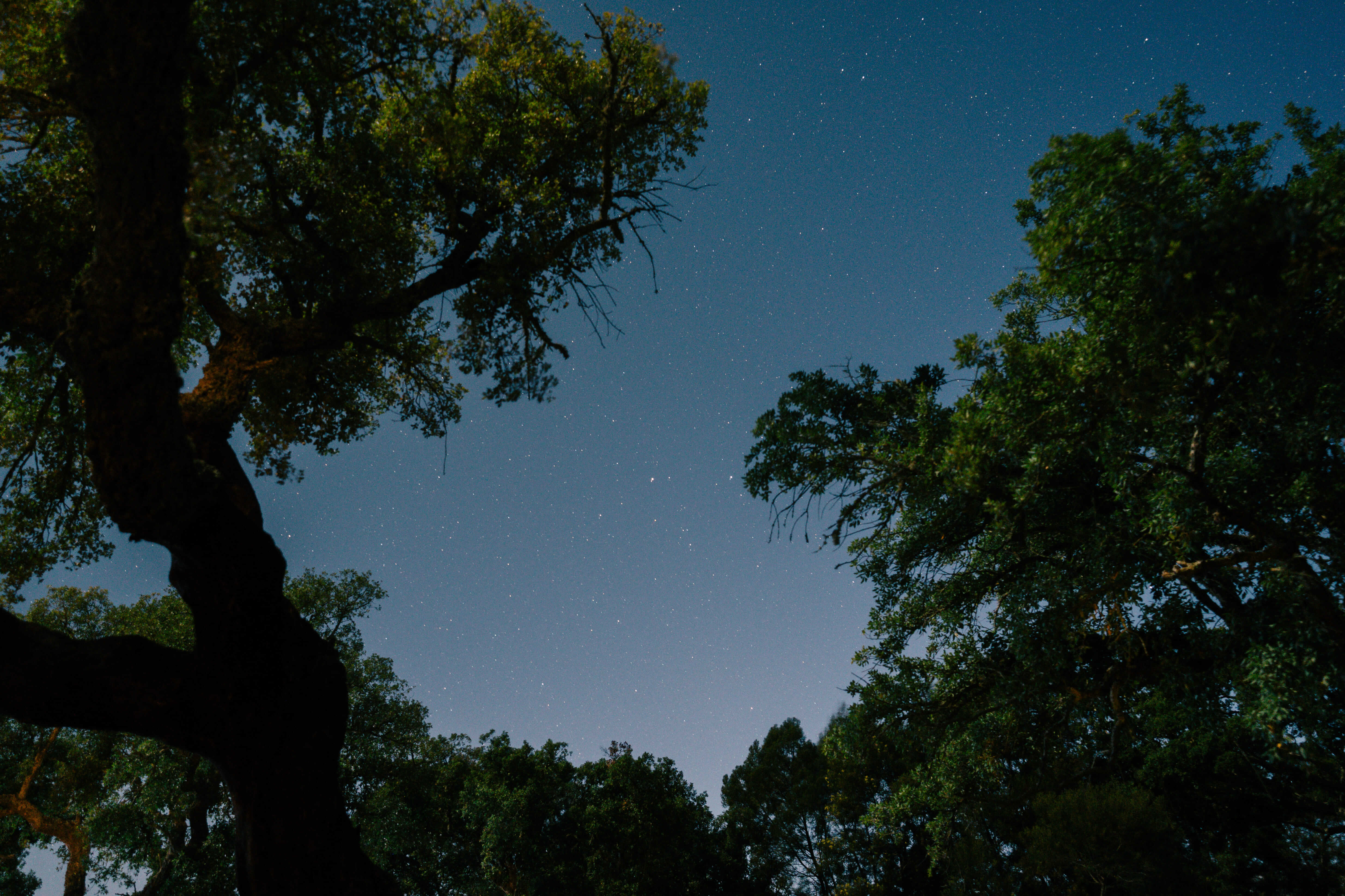 Article/22 Topo Rooftop Car Tents